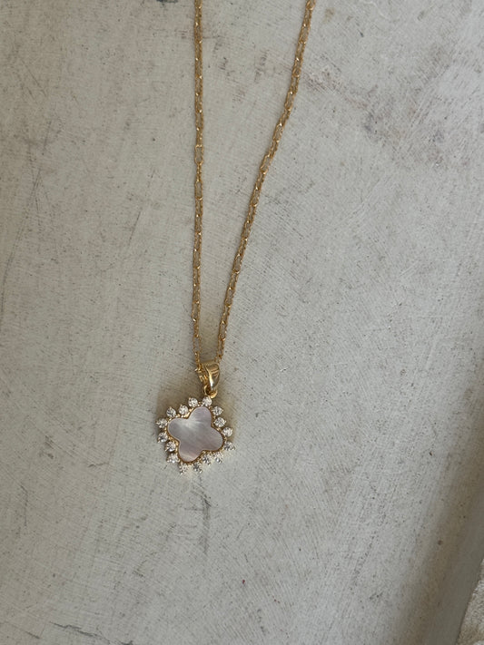 Shell Amore Necklace